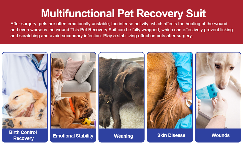 multifunctional dog onesie