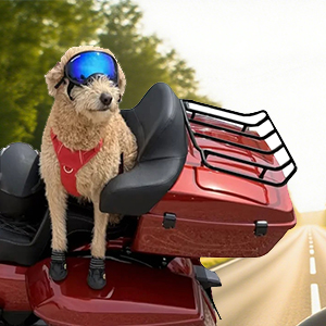 Small manufacture image 3