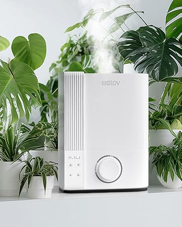 Humidifiers for Bedroom