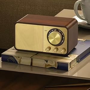 LYLIFON RADIO SPEAKER
