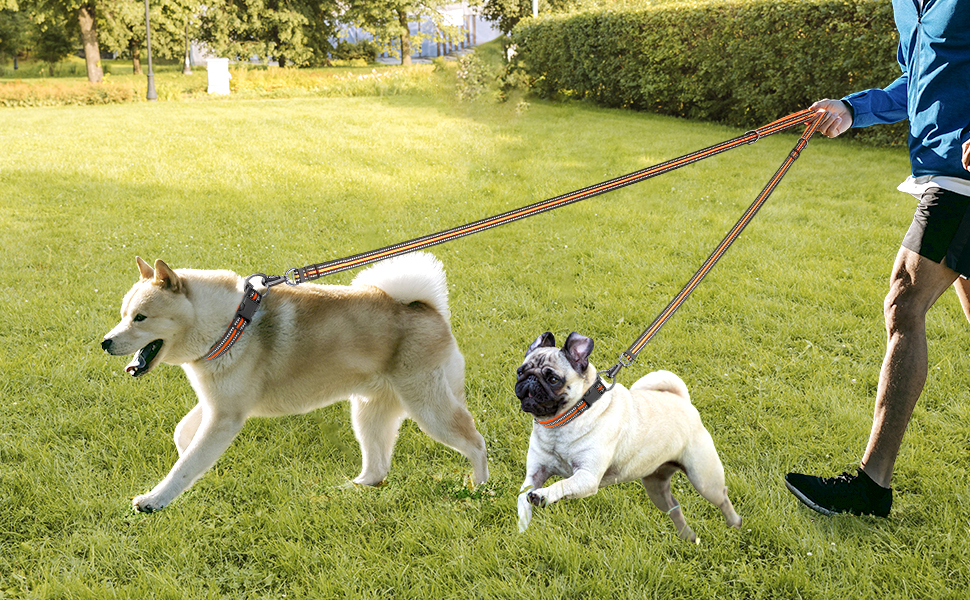 AziviPET Dog Leash, Reflective Dog Leash, Adjustable Nylon Dog Leash, Padded Handle