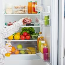 fridge odours