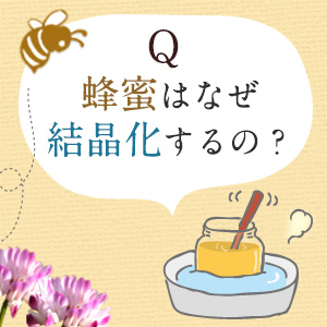 蜂蜜の日【テン様】百花蜜・1000g×2本とシナモンパウダー1袋 Amazon | はちみつ 専門店【かの蜂】 国産 百花 蜂蜜 1000g（1kg