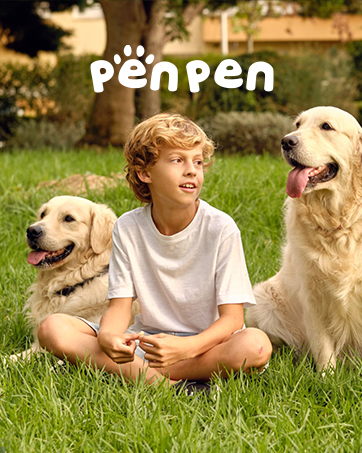 glucosamine for dogs