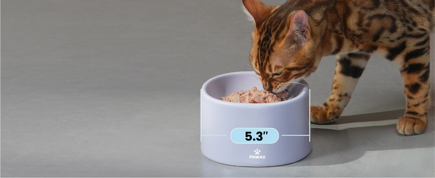 Pawaii Ceramic Cat Bowl, Combined Type Elevated Cat Bowl