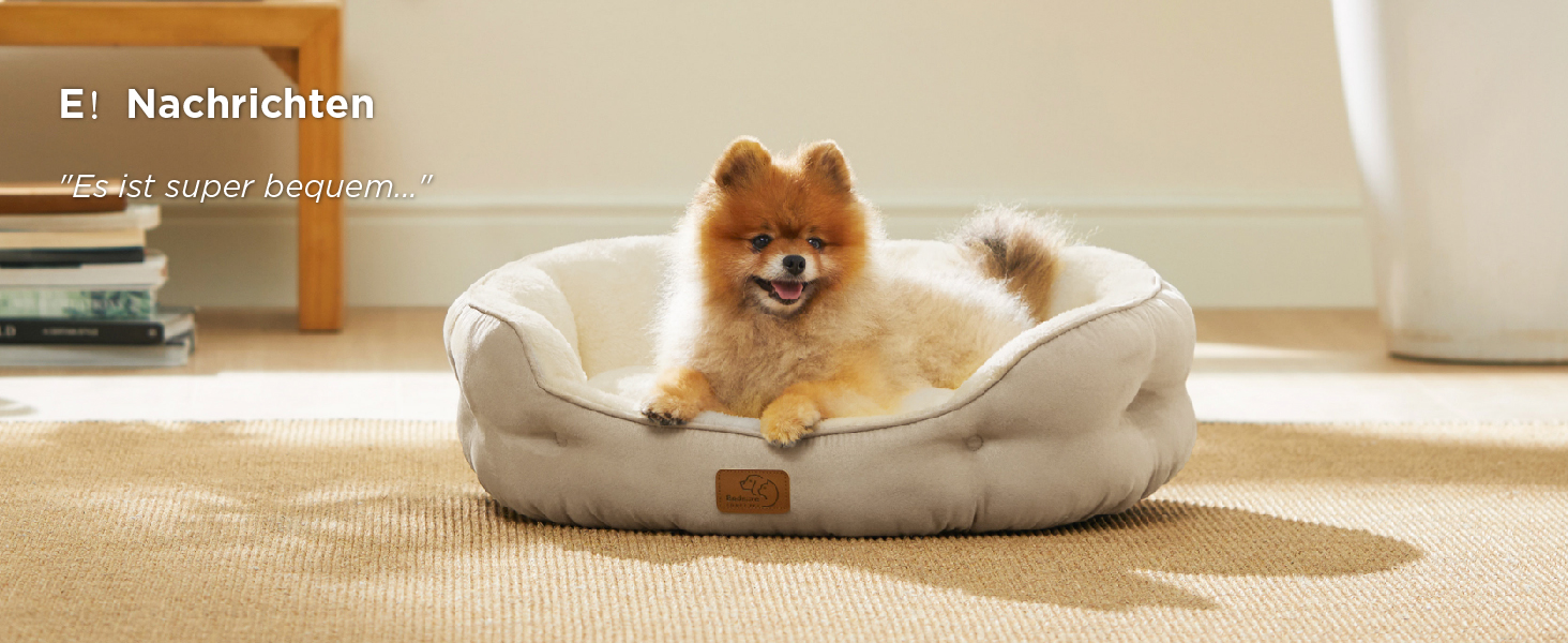 Hundebett aus Plüsch mit beigem Stoff, bewohnt von einem kleinen flauschigen Hund. Das Bett hat erhöhte Seiten für Komfort und Halt