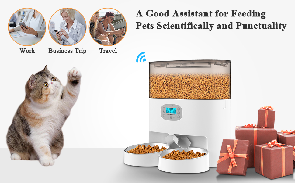 HoneyGuaridan 6L Automatic Cat Feeder for 2 Cats, 2.4G WiFi Enabled