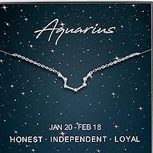 Aquarius (Water Bearer): January 20–February 18