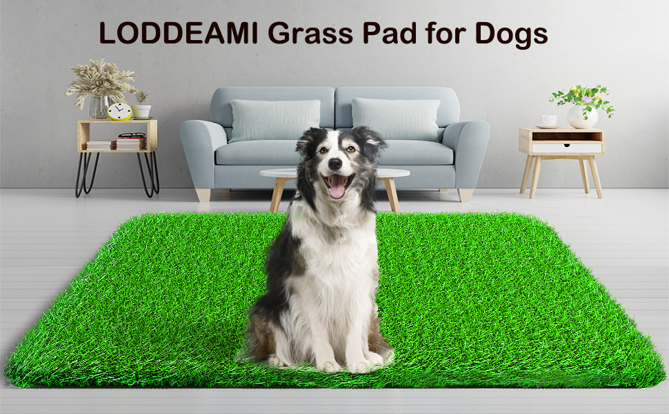 Grass Pad for Dogs Indoor Outdoor, Soft and Realistic