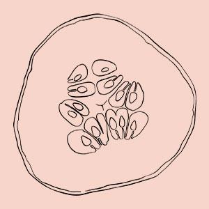 Clear Skin Kit Exfoliates dead skin dark spots Detoxifies your skin Antioxidants Acne Breakouts