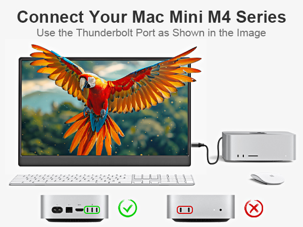 Mac mini/Mac Studio M1 Connection Diagram