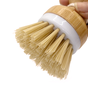 Disc brush