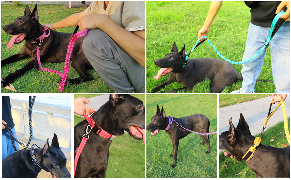 AUBELL Tactical Dog Collar and Leash Set, Adjustable