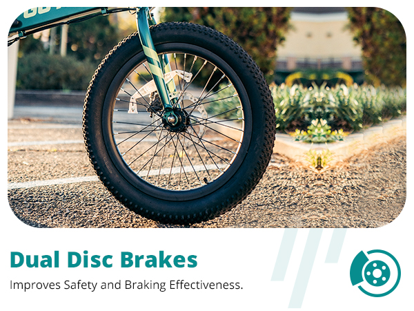 Dual Disc Brakes