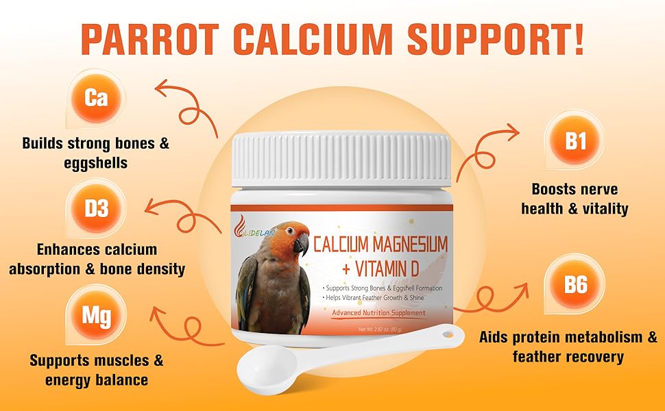 comida para pajaritos