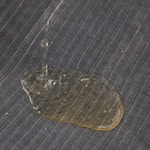 dog bed sofa durable dog bed orthopedic dog bed sponge foam dog bed extra large dog bedding