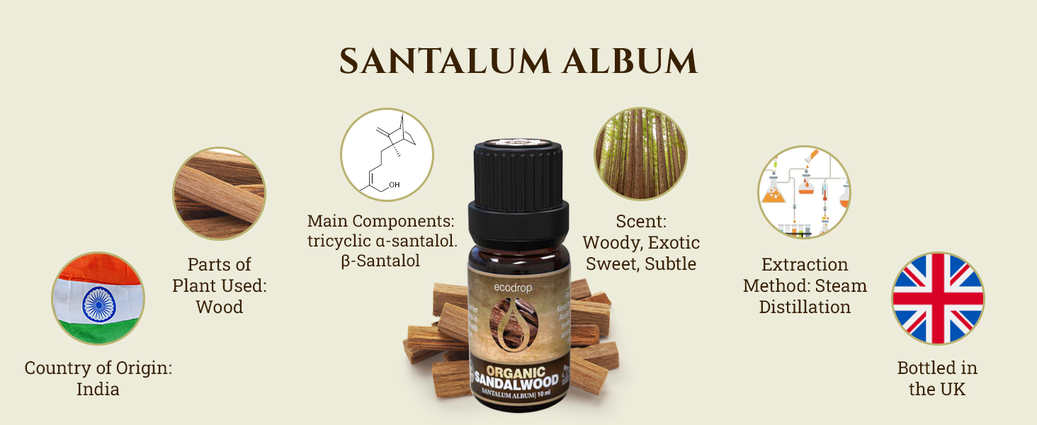 Rosemary Essential Oil Cosmos Certified Organic 100% Pure Spanish Therapeutic Grade for Aromatherapy