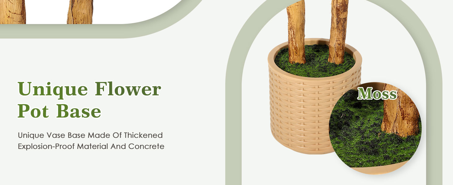 Scindapsus Aureus Tree