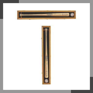 Baseball Bat Display Case