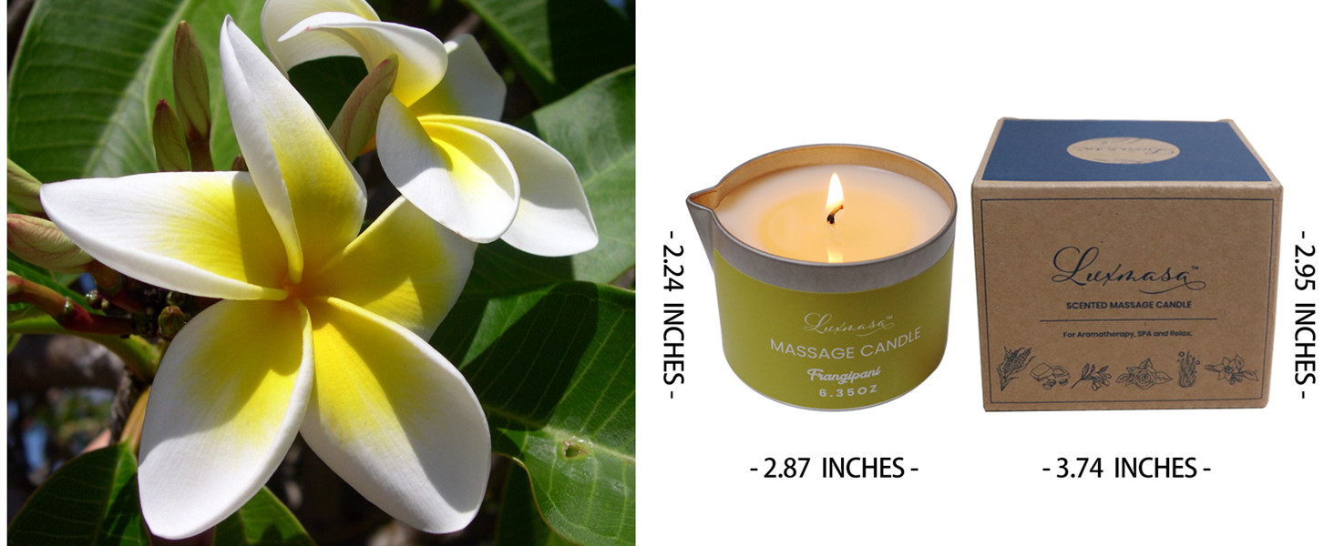 Massage candle Franigani