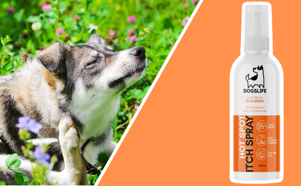 Itch Relief Spray For Dogs Itchy Dog Spray To Soothe Itching, Stop