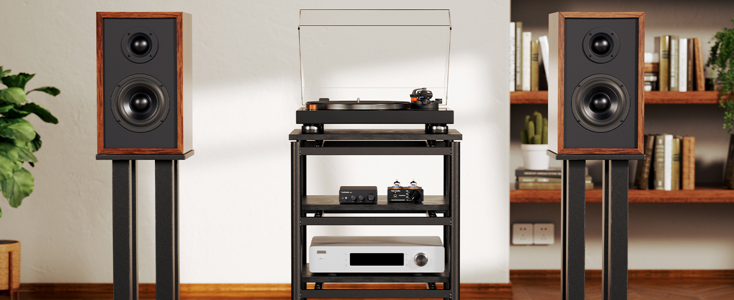 Mini Amplificador de Potencia HiFi