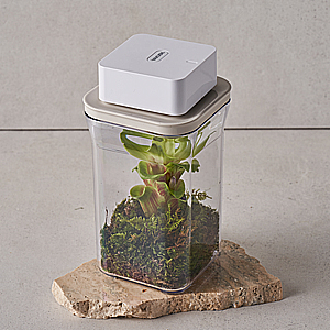 vakuen sealer with container