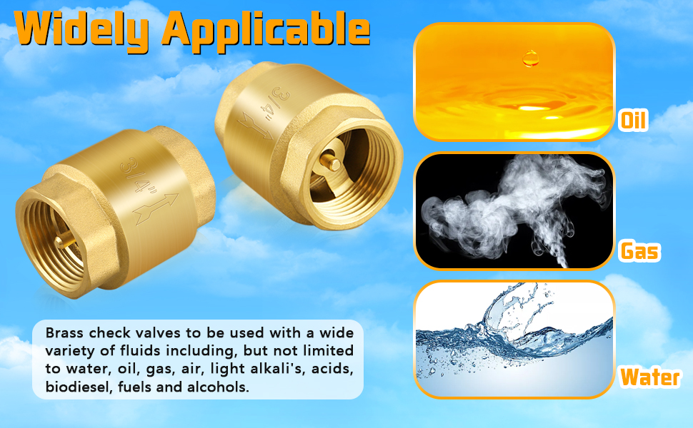 2PCS 3/4 NPT Thread Spring Check Valve, Brass Non Return