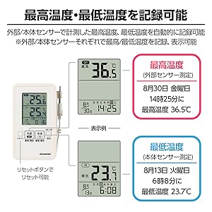 ADAパレングラス、温度計、他 平均温度計 Prothermo NMT81 | Endress+Hauser