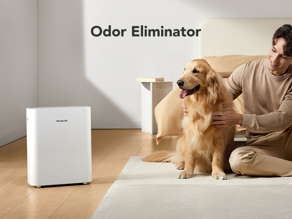 Odor Eliminator