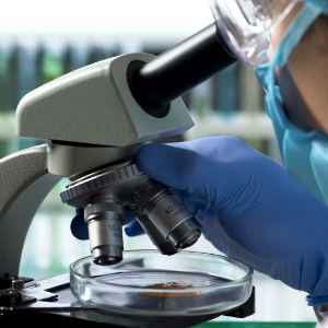 Small manufacture image 6