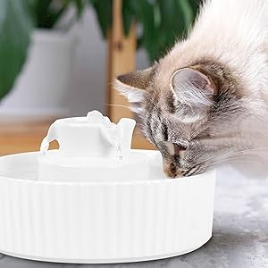 Open Drinking Bowl
