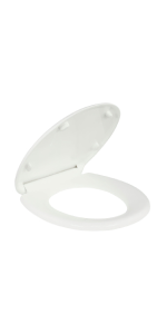 Executive Toilet Seat and Lid