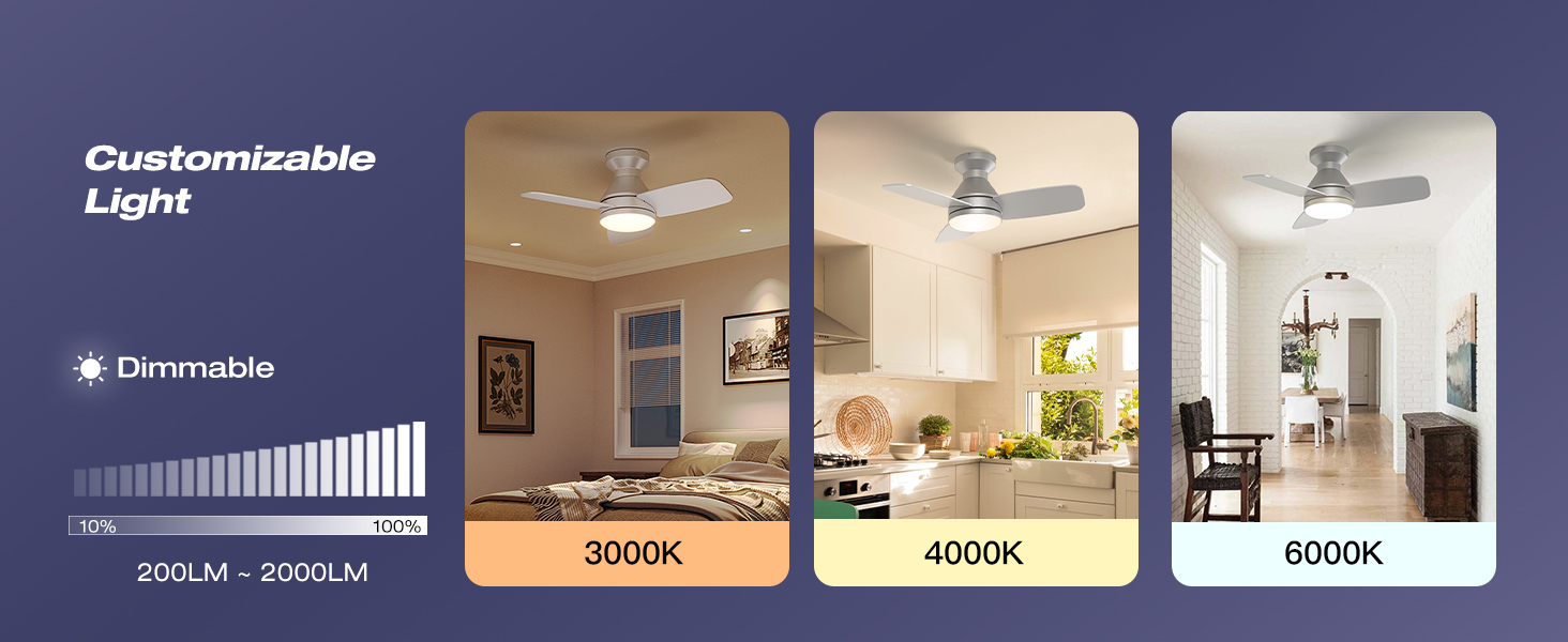 Customizable Light