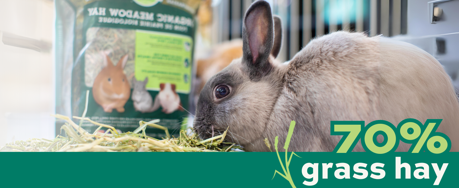Oxbow Essentials Adult Rabbit Food, Food for Pet Rabbits, Uniform food, Bunny Food, Classroom Pet