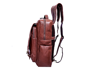 Leptopbags