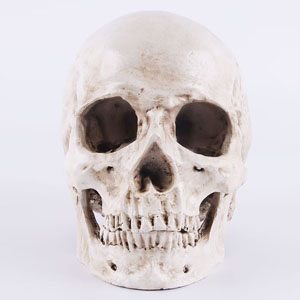 Small manufacture image 1