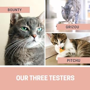 THREE TESTERS 