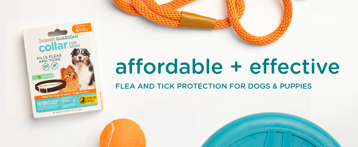 Affordable flea and tick protection for dogs
