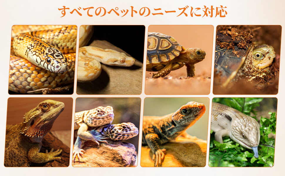Amazon | 182L 爬虫類 飼育ケージ 折りたたみ式 グラス