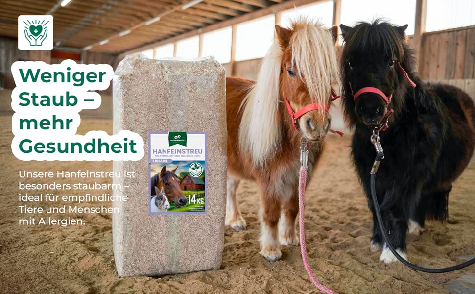 Einstreu aus Hanf für Pferde, das neben zwei Ponys in einem Stall gezeigt wird. Die Bettwäsche soll Staub reduzieren und so die Gesundheit verbessern. Ideal für empfindliche Tiere und Menschen mit Allergien