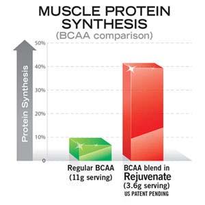 Protein, Shake, Ready to Drink, To Go, amino acid, supplement, rebuild, strength, energy