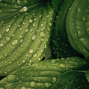 Crazy Skin S-Cool Cream