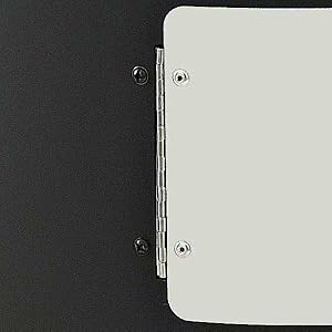 Access door with sturdy hinge