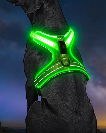 Light Up Dog Harness