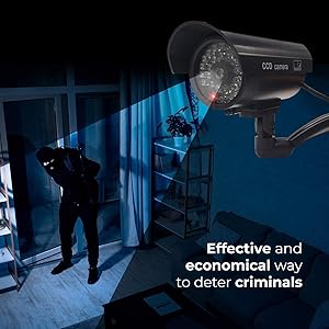 Deter criminals camera