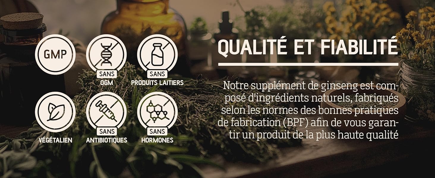 panax ginseng coréen