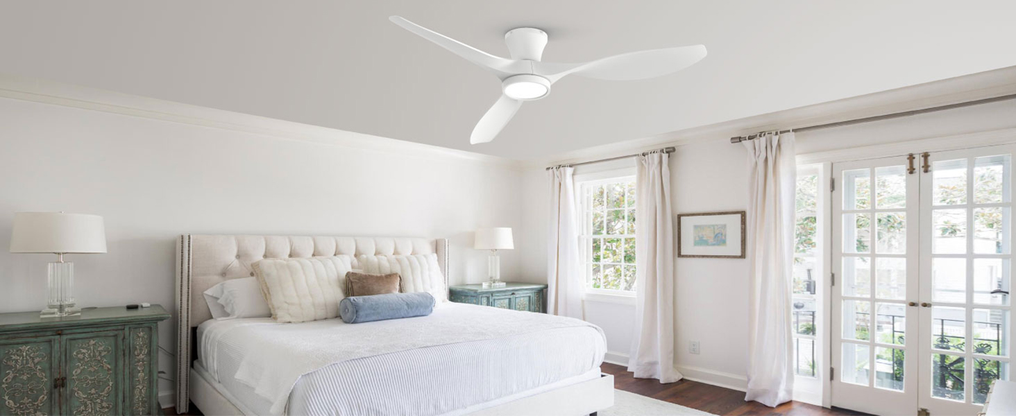 ceiling fan
