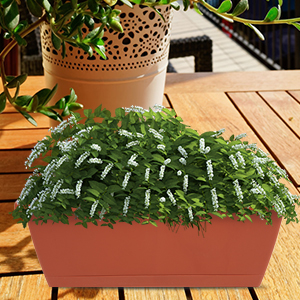 Small manufacture image 3