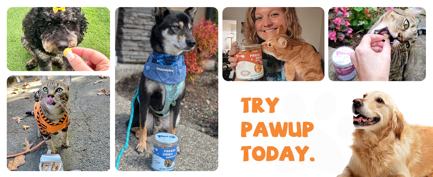 Large manufacture image 7